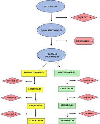 Role of maintenance treatment on long-term efficacy of bilateral iTBS of the prefrontal cortex in treatment-seeking cocaine addicts: A retrospective analysis